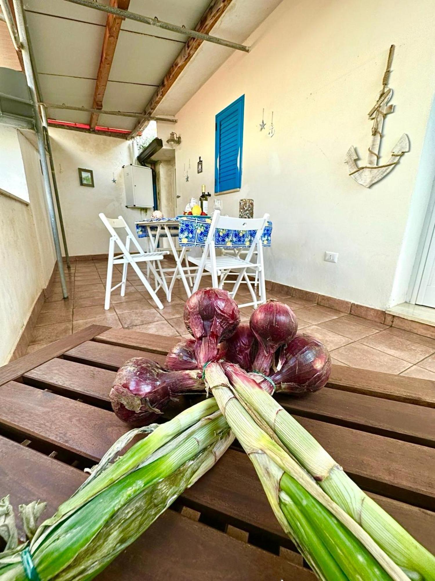 Dilettaanna Apartment With Private Garden トロペーア エクステリア 写真